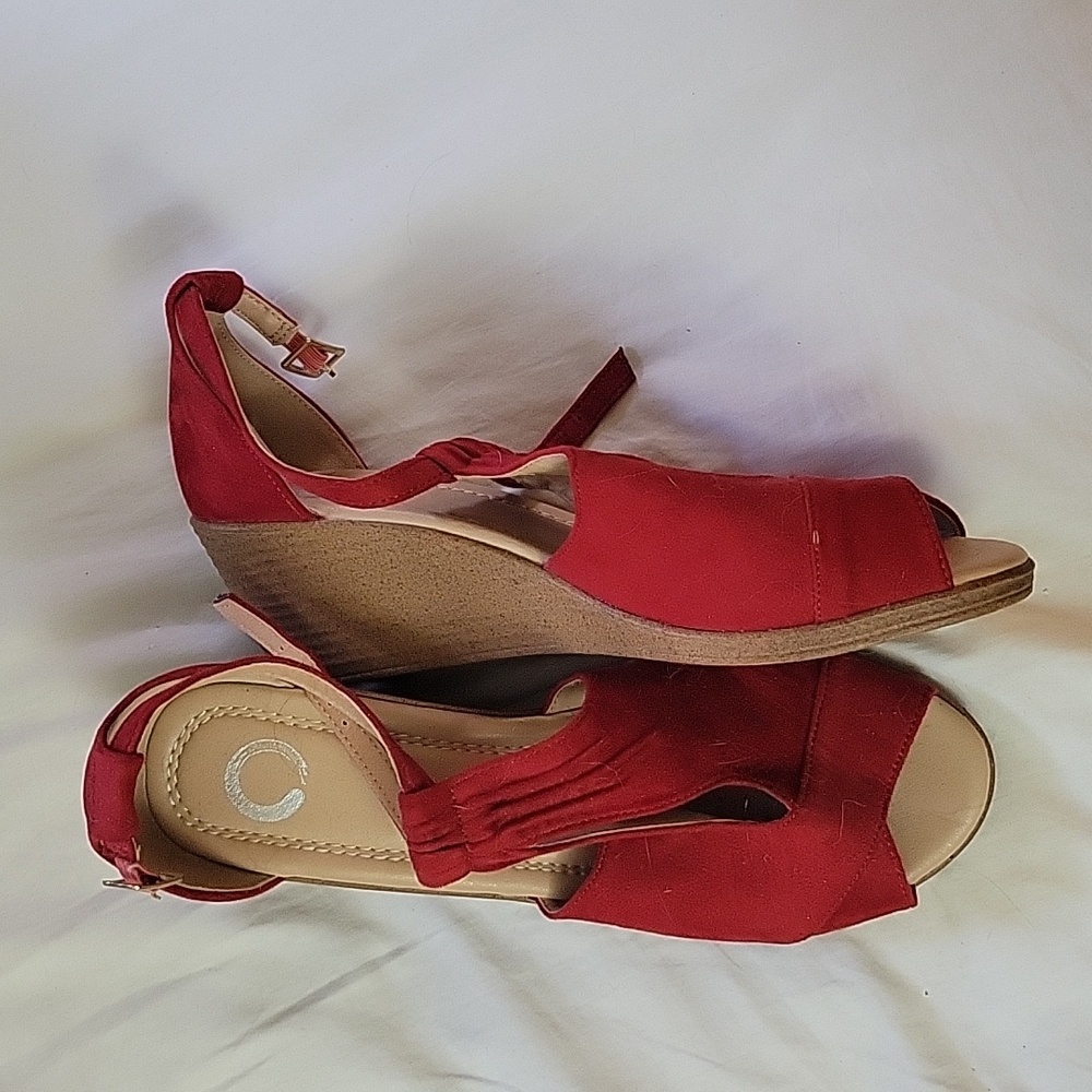 Red wedges